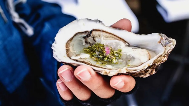 All About Oysters