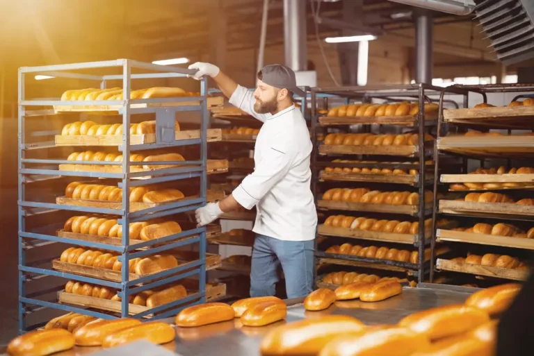 Essential Equipment Every Bakery Needs for Success